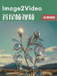 generate_video_i2v_template